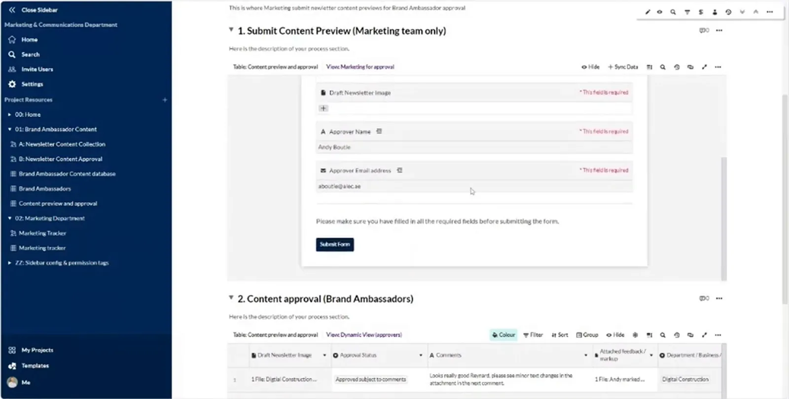 Newsletter approval page with a marketing preview submission form above a brand-ambassador approval table.