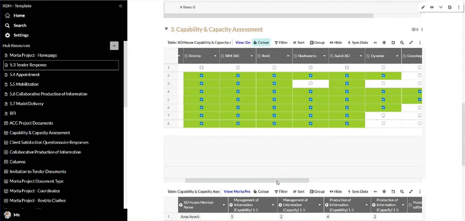 Morta capability and capacity assessment with software columns, checkboxes and a second table for management and production capability.