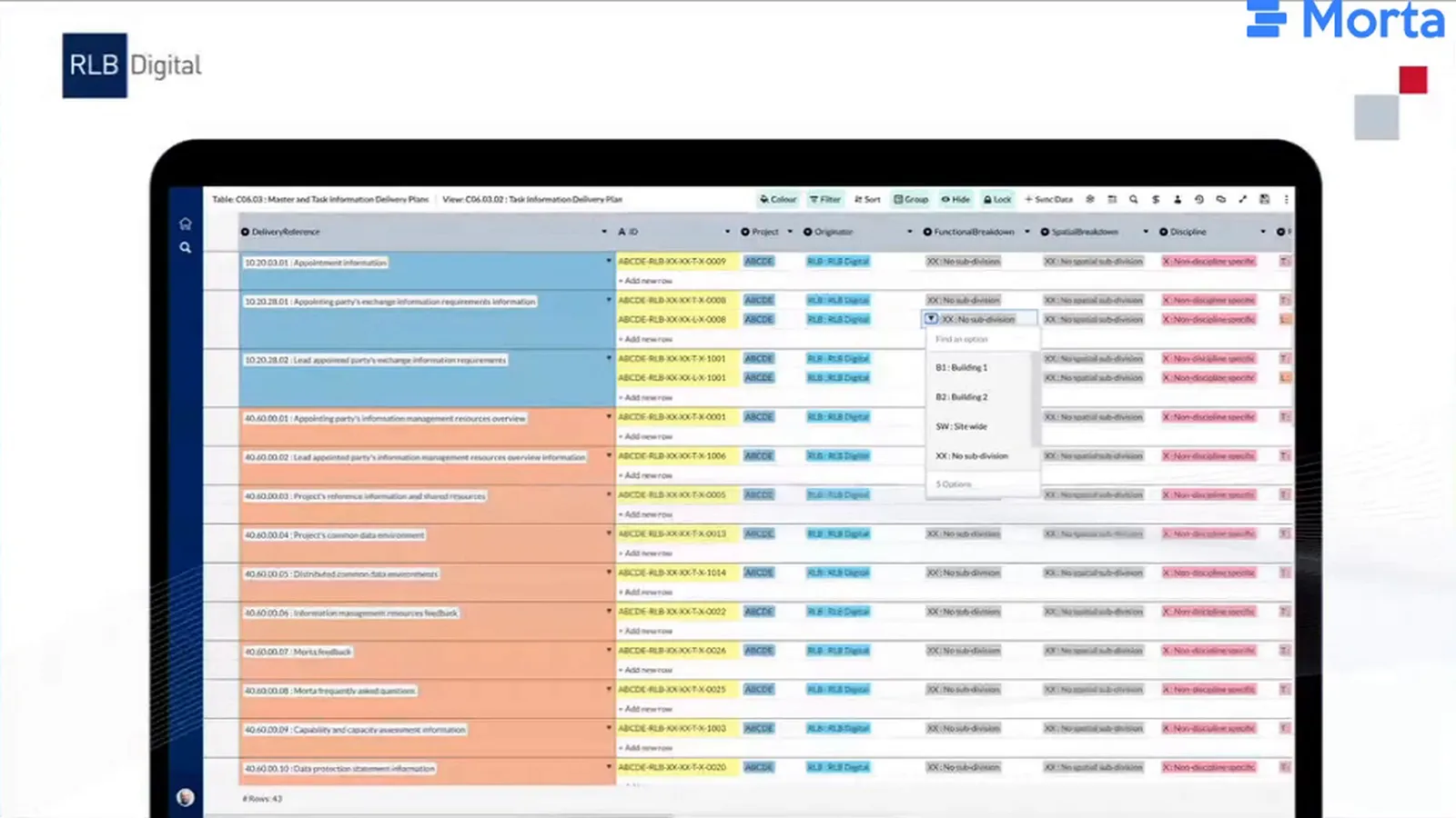 Delivery-plan table with grouped entries and coloured selection values.